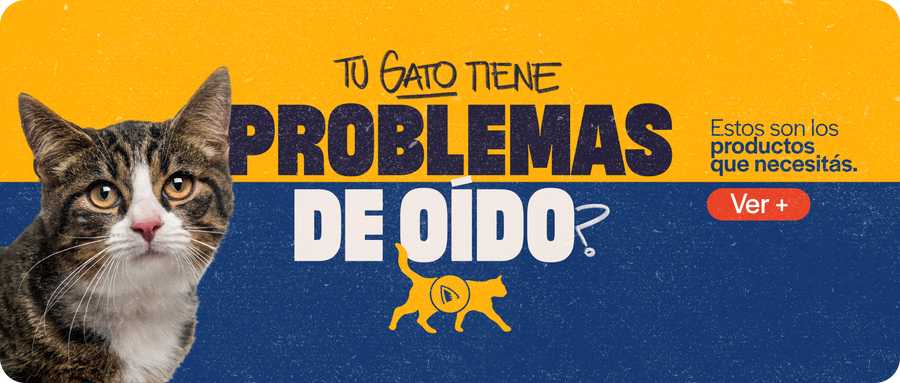Problemas de oído