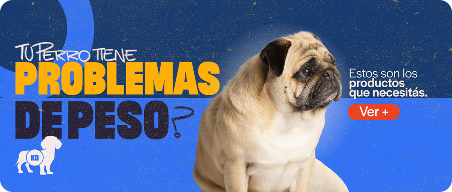Problemas de peso