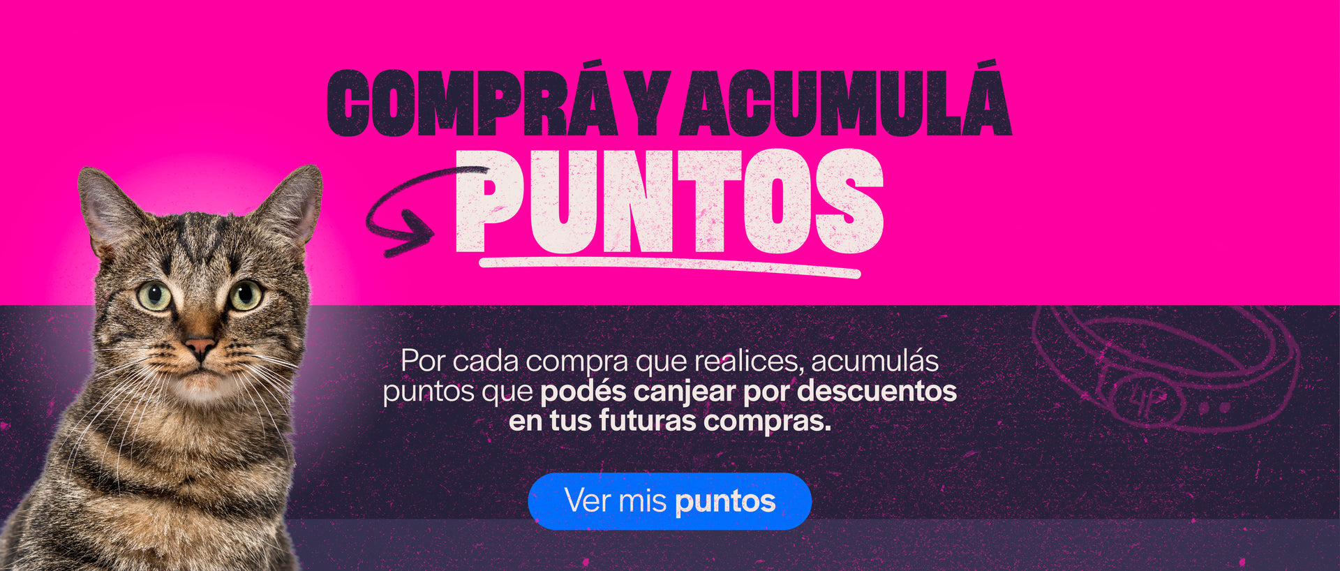 Materiales para construir tu mascotero