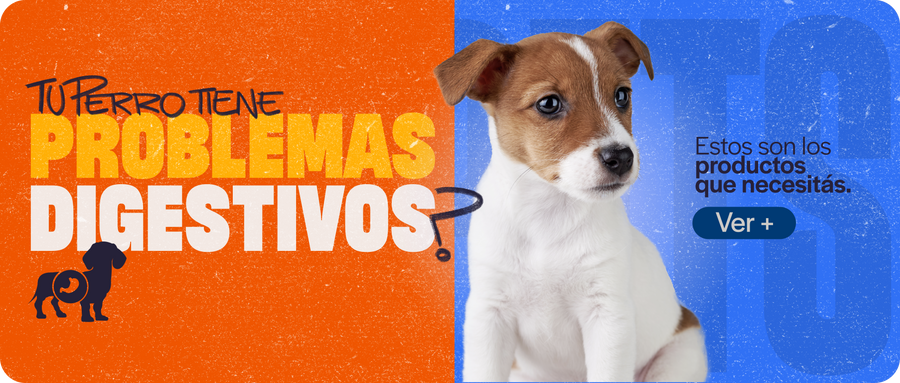 Problemas digestivos