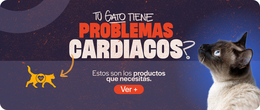 Cardíaco