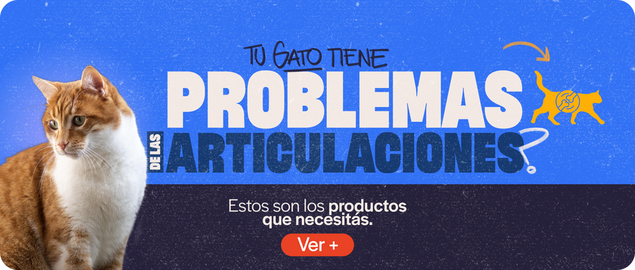 Articulaciones