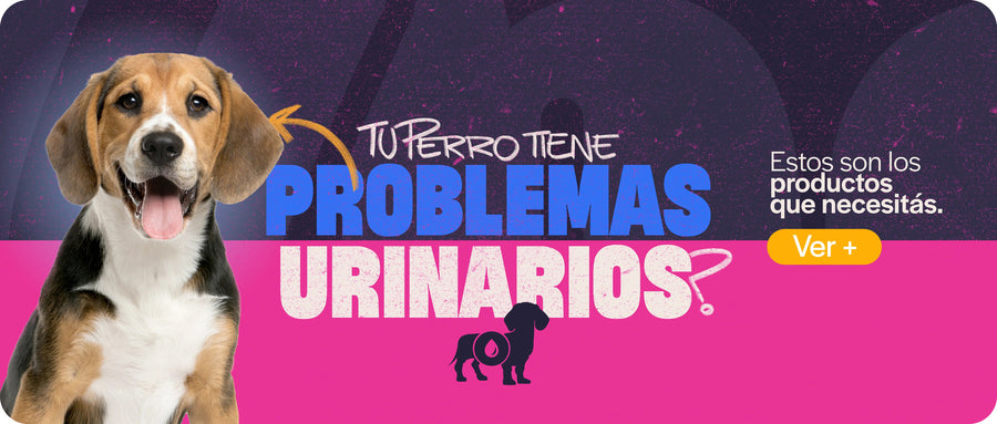 Cuidado urinario