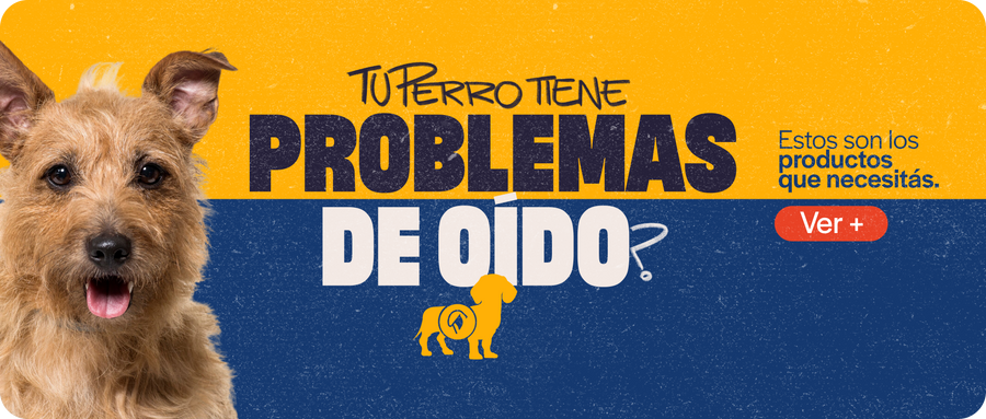 Problemas de oídos