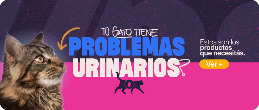 Cuidado urinario