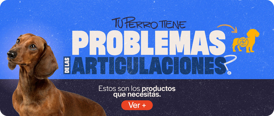 Articulaciones