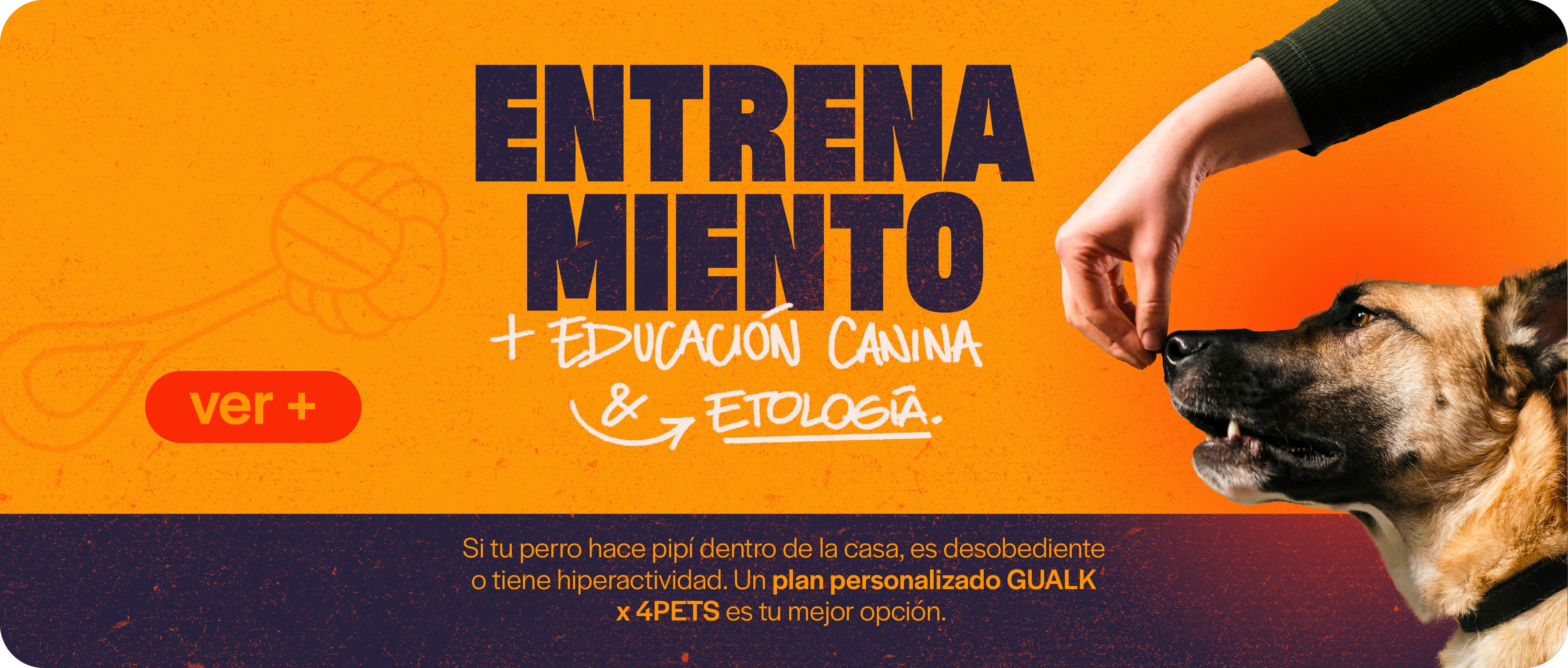 Entrenamiento + educación canina