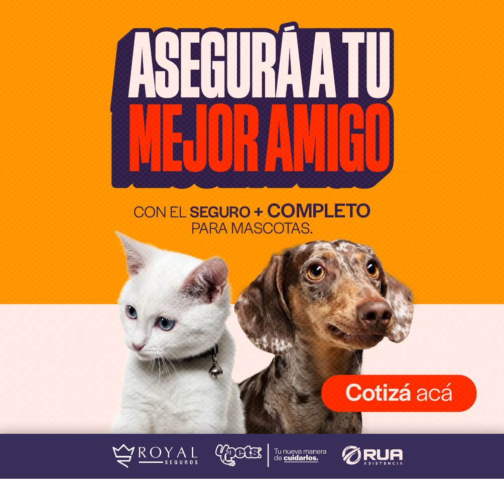 Descargá la app 4Pets