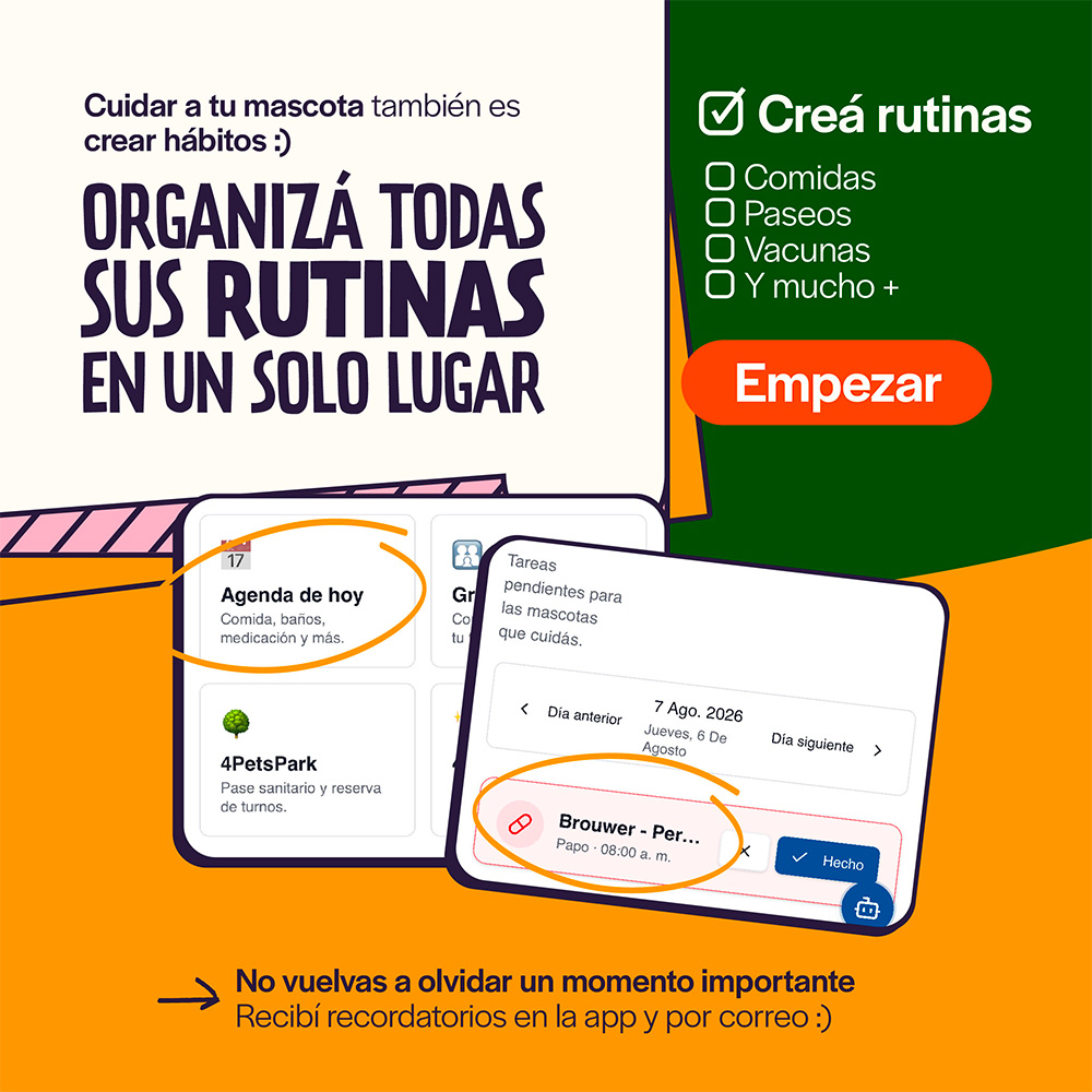 Organizá todas sus rutinas en un solo lugar