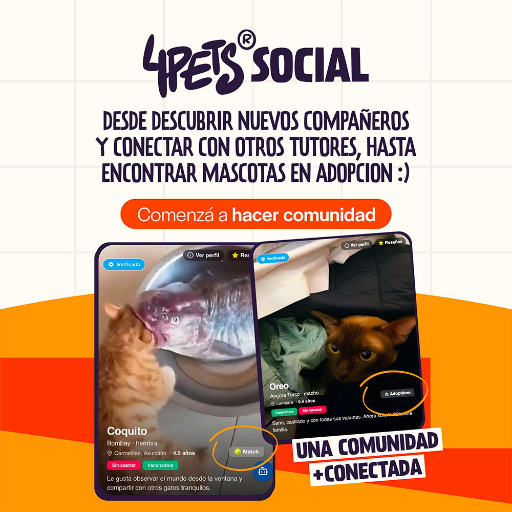 4Pets Social — Conectá con otros tutores y encontrá mascotas en adopción
