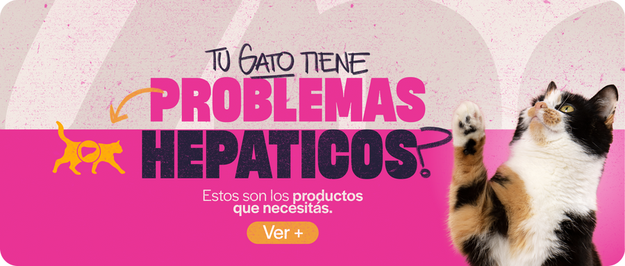 Hepático