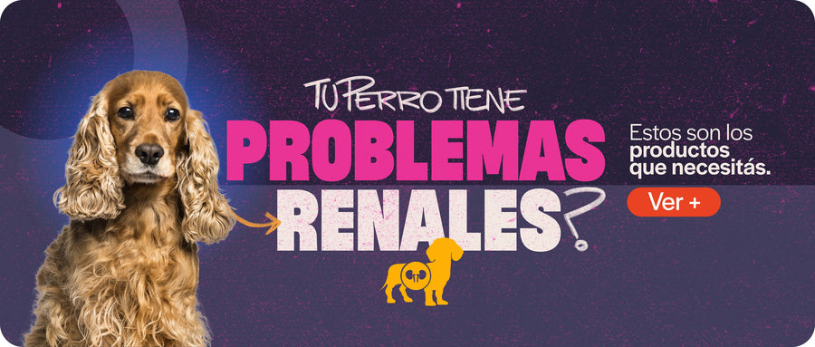 Problemas renales
