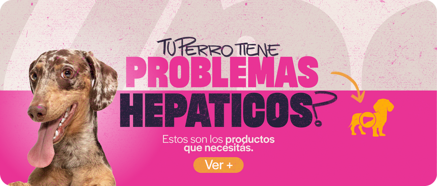 Hepáticos